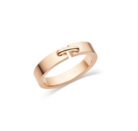 [Promax Jewelry]ALLIANCE LIENS VIDENCE 4MM RING